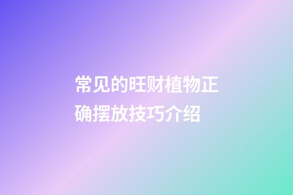 常见的旺财植物正确摆放技巧介绍