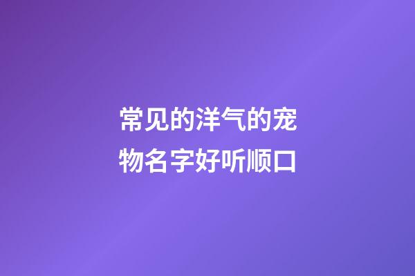 常见的洋气的宠物名字好听顺口