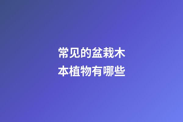 常见的盆栽木本植物有哪些