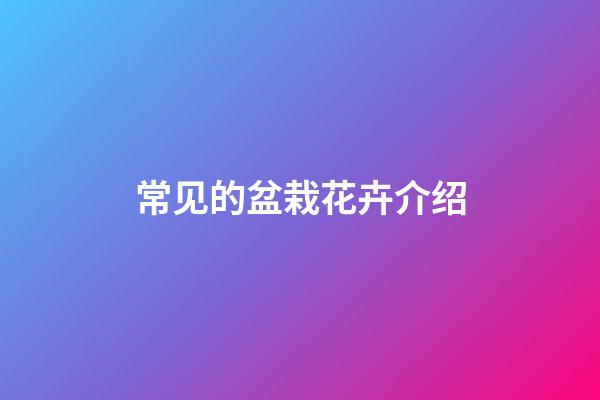 常见的盆栽花卉介绍