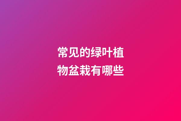 常见的绿叶植物盆栽有哪些