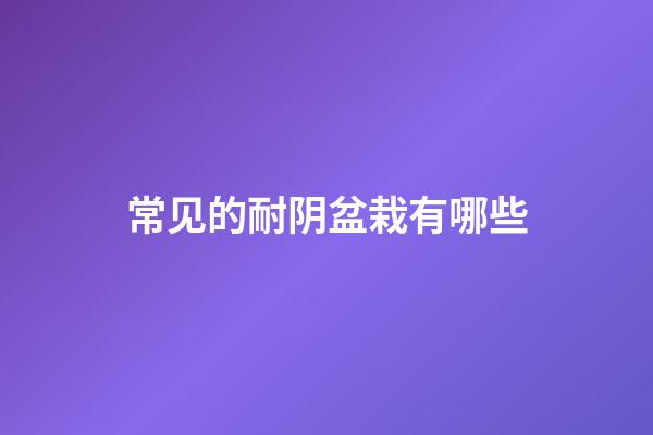 常见的耐阴盆栽有哪些