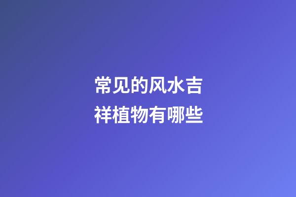 常见的风水吉祥植物有哪些?