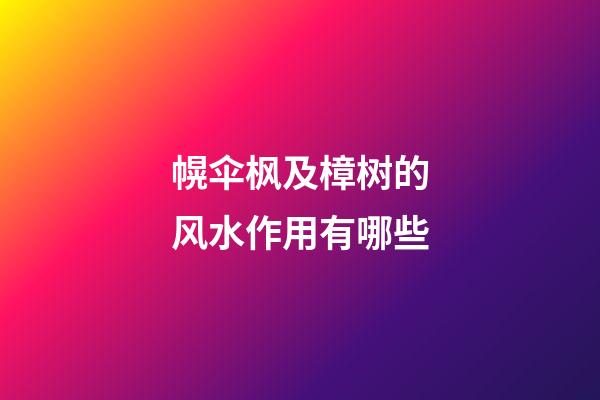 幌伞枫及樟树的风水作用有哪些?