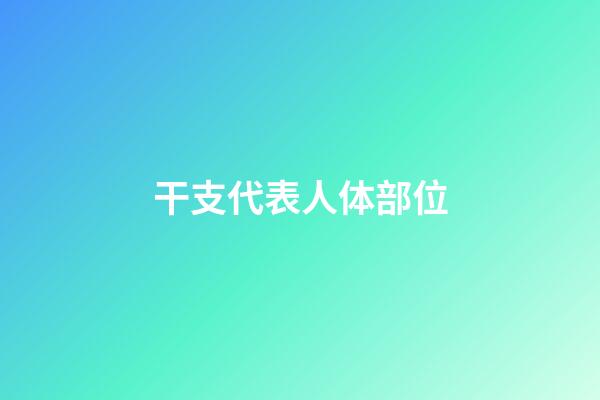 干支代表人体部位