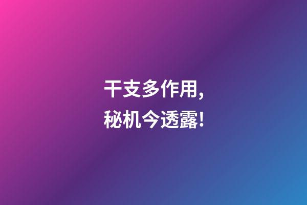 干支多作用,秘机今透露!