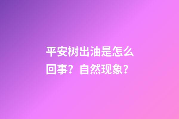 平安树出油是怎么回事？自然现象？