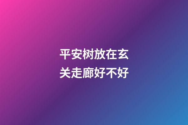 平安树放在玄关走廊好不好