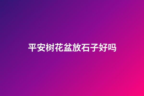 平安树花盆放石子好吗