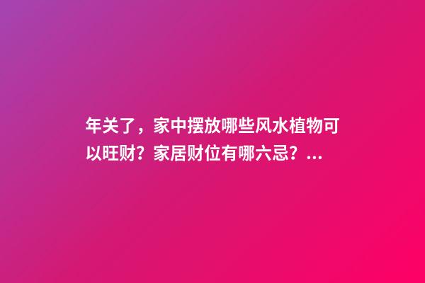 年关了，家中摆放哪些风水植物可以旺财？家居财位有哪六忌？（家中摆放什么旺财）