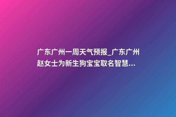 广东广州一周天气预报_广东广州赵女士为新生狗宝宝取名智慧型套餐-第1张-公司起名-玄机派