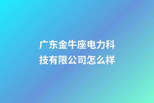 广东金牛座电力科技有限公司怎么样