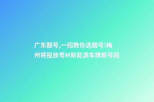 广东靓号,一招教你选靓号!梅州将投放粤M新能源车牌新号段-第1张-观点-玄机派