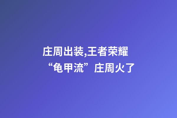 庄周出装,王者荣耀“龟甲流”庄周火了-第1张-观点-玄机派