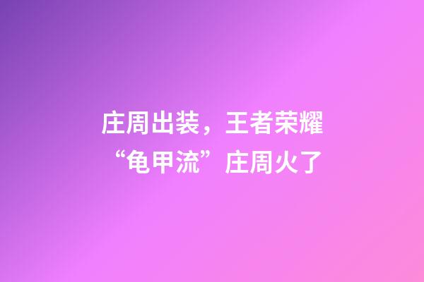 庄周出装，王者荣耀“龟甲流”庄周火了-第1张-观点-玄机派