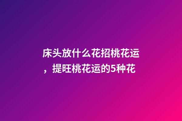 床头放什么花招桃花运，提旺桃花运的5种花