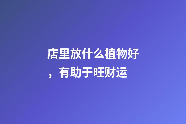店里放什么植物好，有助于旺财运