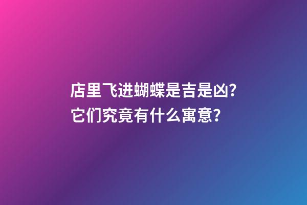 店里飞进蝴蝶是吉是凶？它们究竟有什么寓意？