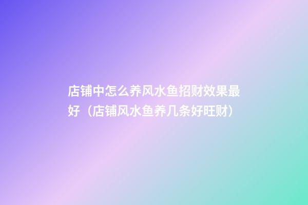 店铺中怎么养风水鱼招财效果最好（店铺风水鱼养几条好旺财）
