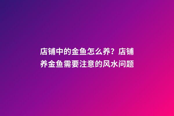 店铺中的金鱼怎么养？店铺养金鱼需要注意的风水问题