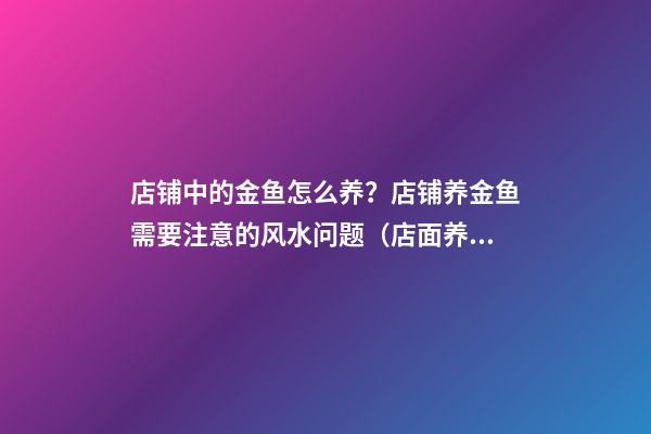 店铺中的金鱼怎么养？店铺养金鱼需要注意的风水问题（店面养金鱼有什么讲究吗）