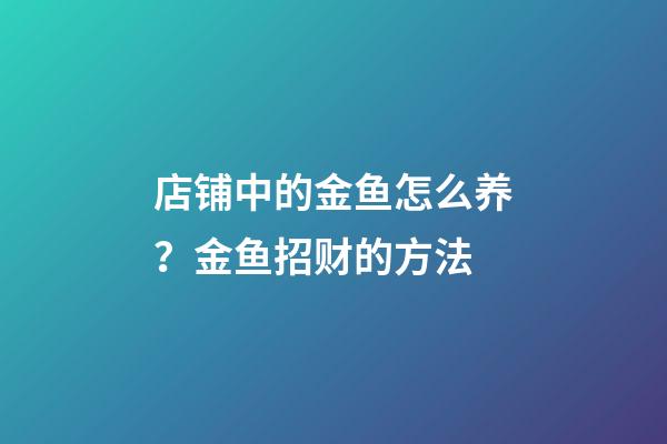 店铺中的金鱼怎么养？金鱼招财的方法