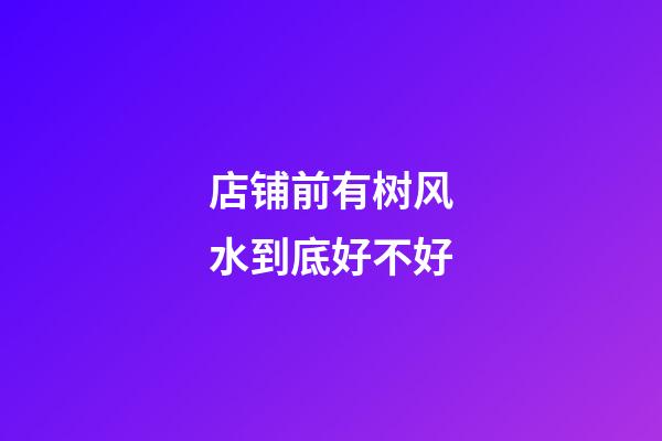 店铺前有树风水到底好不好