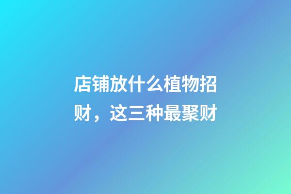 店铺放什么植物招财，这三种最聚财