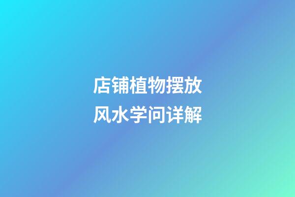 店铺植物摆放风水学问详解