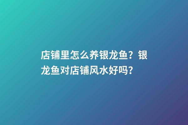 店铺里怎么养银龙鱼？银龙鱼对店铺风水好吗？