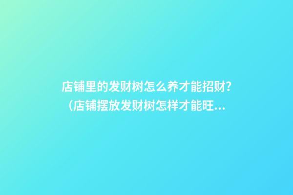 店铺里的发财树怎么养才能招财？（店铺摆放发财树怎样才能旺财）