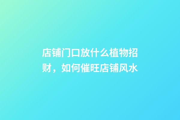 店铺门口放什么植物招财，如何催旺店铺风水