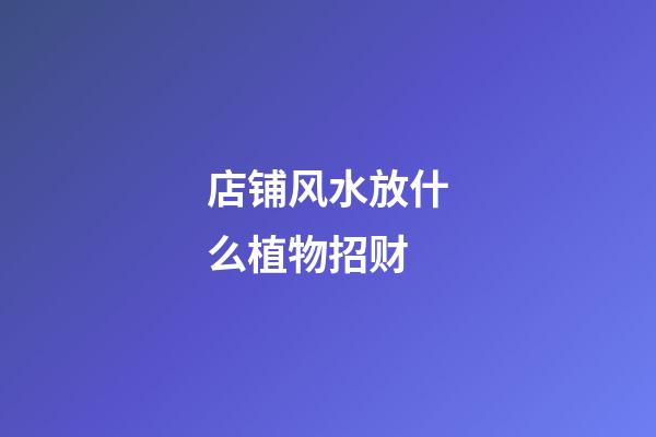 店铺风水放什么植物招财