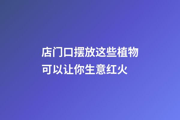 店门口摆放这些植物可以让你生意红火