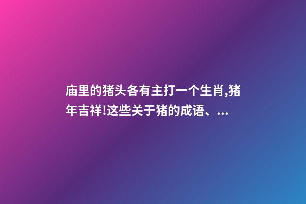 庙里的猪头各有主打一个生肖,猪年吉祥!这些关于猪的成语、俗语、歇后语-第1张-观点-玄机派