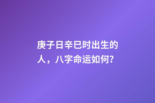 庚子日辛巳时出生的人，八字命运如何？