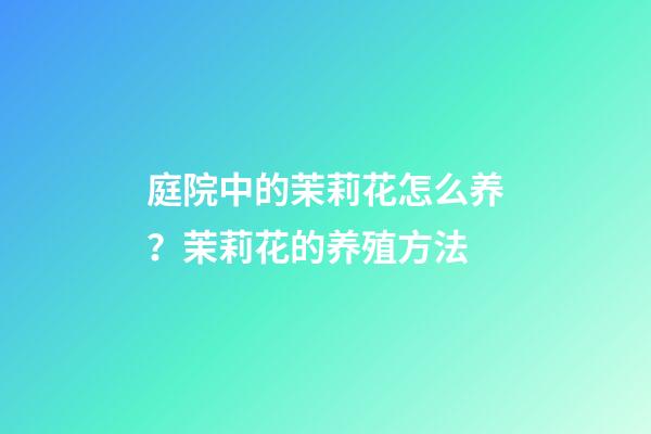 庭院中的茉莉花怎么养？茉莉花的养殖方法