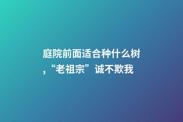 庭院前面适合种什么树,“老祖宗”诚不欺我-第1张-观点-玄机派