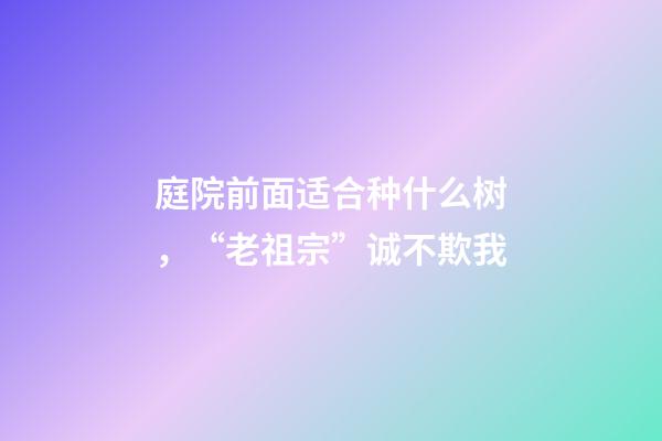 庭院前面适合种什么树，“老祖宗”诚不欺我-第1张-观点-玄机派