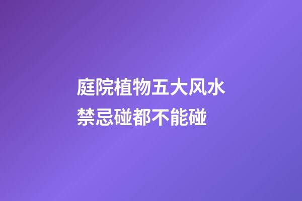 庭院植物五大风水禁忌碰都不能碰