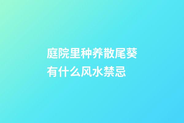 庭院里种养散尾葵有什么风水禁忌