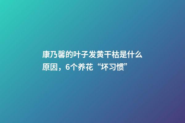 康乃馨的叶子发黄干枯是什么原因，6个养花“坏习惯”-第1张-观点-玄机派