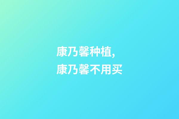 康乃馨种植,康乃馨不用买-第1张-观点-玄机派