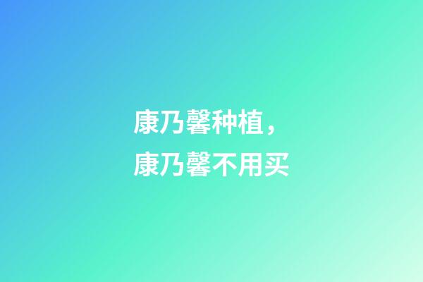 康乃馨种植，康乃馨不用买-第1张-观点-玄机派