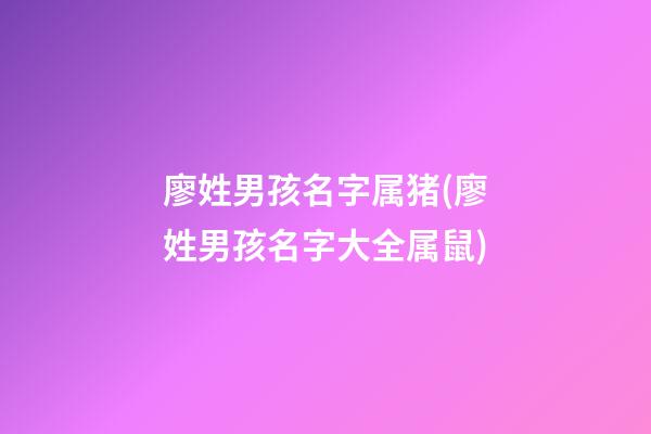 廖姓男孩名字属猪(廖姓男孩名字大全属鼠)