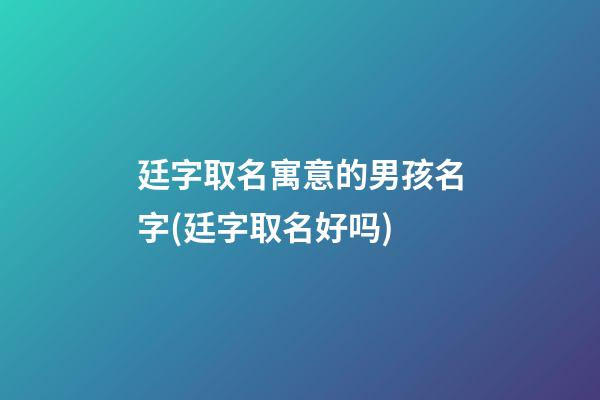 廷字取名寓意的男孩名字(廷字取名好吗)