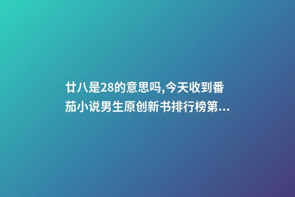 廿八是28的意思吗,今天收到番茄小说男生原创新书排行榜第28名是什么意思-第1张-观点-玄机派