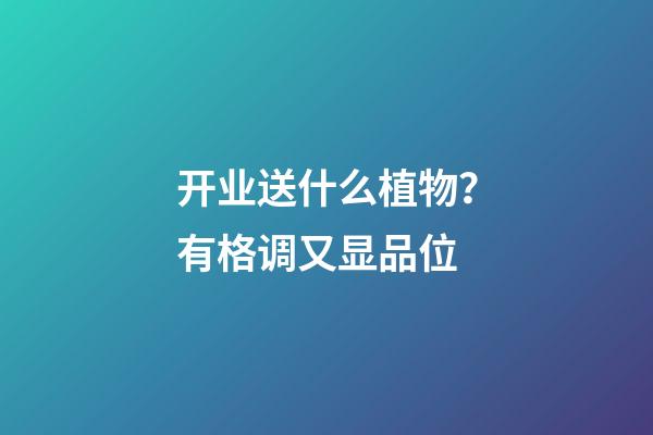 开业送什么植物？有格调又显品位