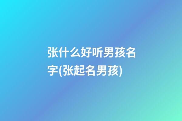 张什么好听男孩名字(张起名男孩)