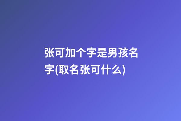 张可加个字是男孩名字(取名张可什么)